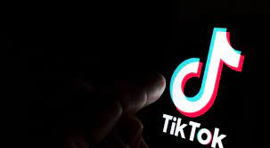 Keamanan Data Dan Privasi Pengguna Di TikTok - Rafda Digital Marketing