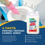 Sabun Pembersih WC