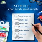 Sabun Pembersih WC