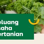 5 Peluang Usaha Pertanian yang Menjanjikan